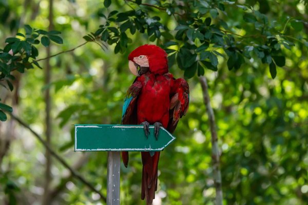 Quel est le travail qui me convient le mieux ?