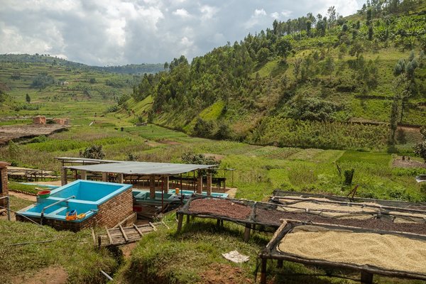 Les dernières tendances en matière de recyclage des matériaux de construction : comment tirer parti des avancées technologiques pour une gestion durable des déchets dans le BTP