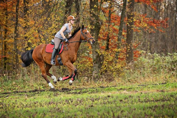 Les bénéfices insoupçonnés de l'équitation sur la santé mentale