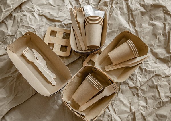 Salon de l'environnement à Toulouse: un évènement révolutionnaire à ne pas manquer en 2025