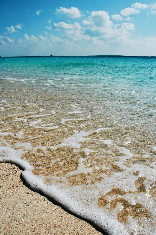 Finistere Nord : pour profiter d'un magnifique camping en bord de mer