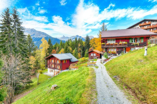 Investissement gagnant: achat chalet de luxe en Savoie