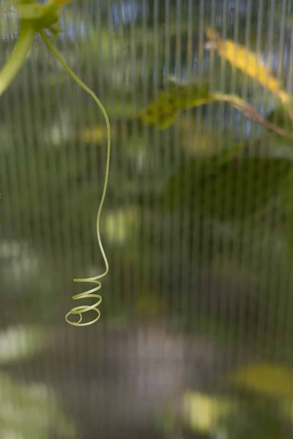 Comment transformer une nouvelle locale en pièce radiophonique pour une station communautaire?